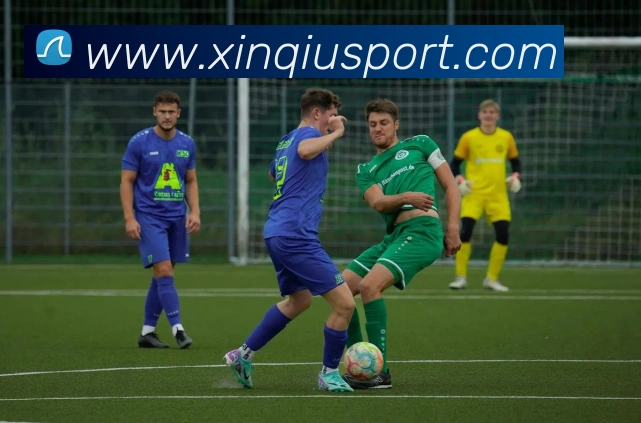 新球体育平台生态图