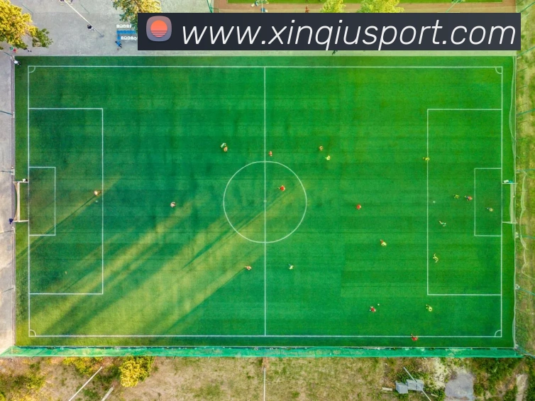 数据防护可视化